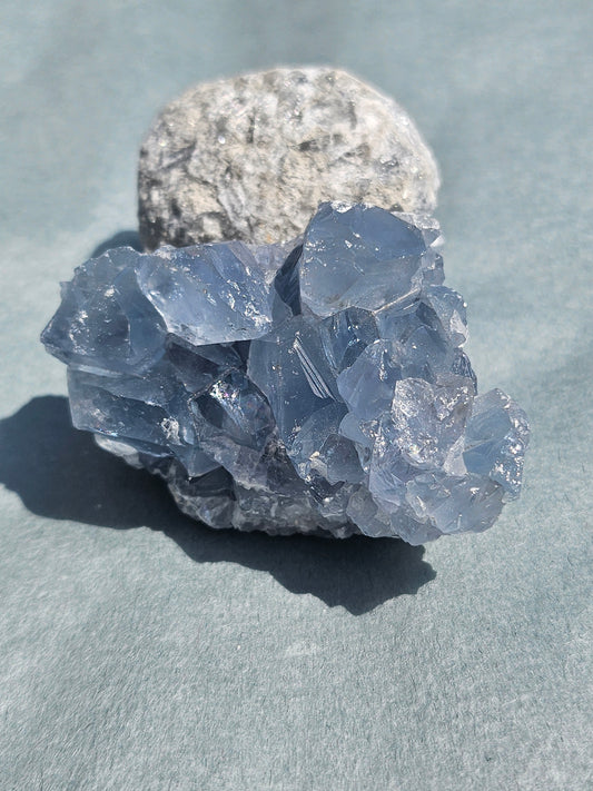 Celestine de Madagascar