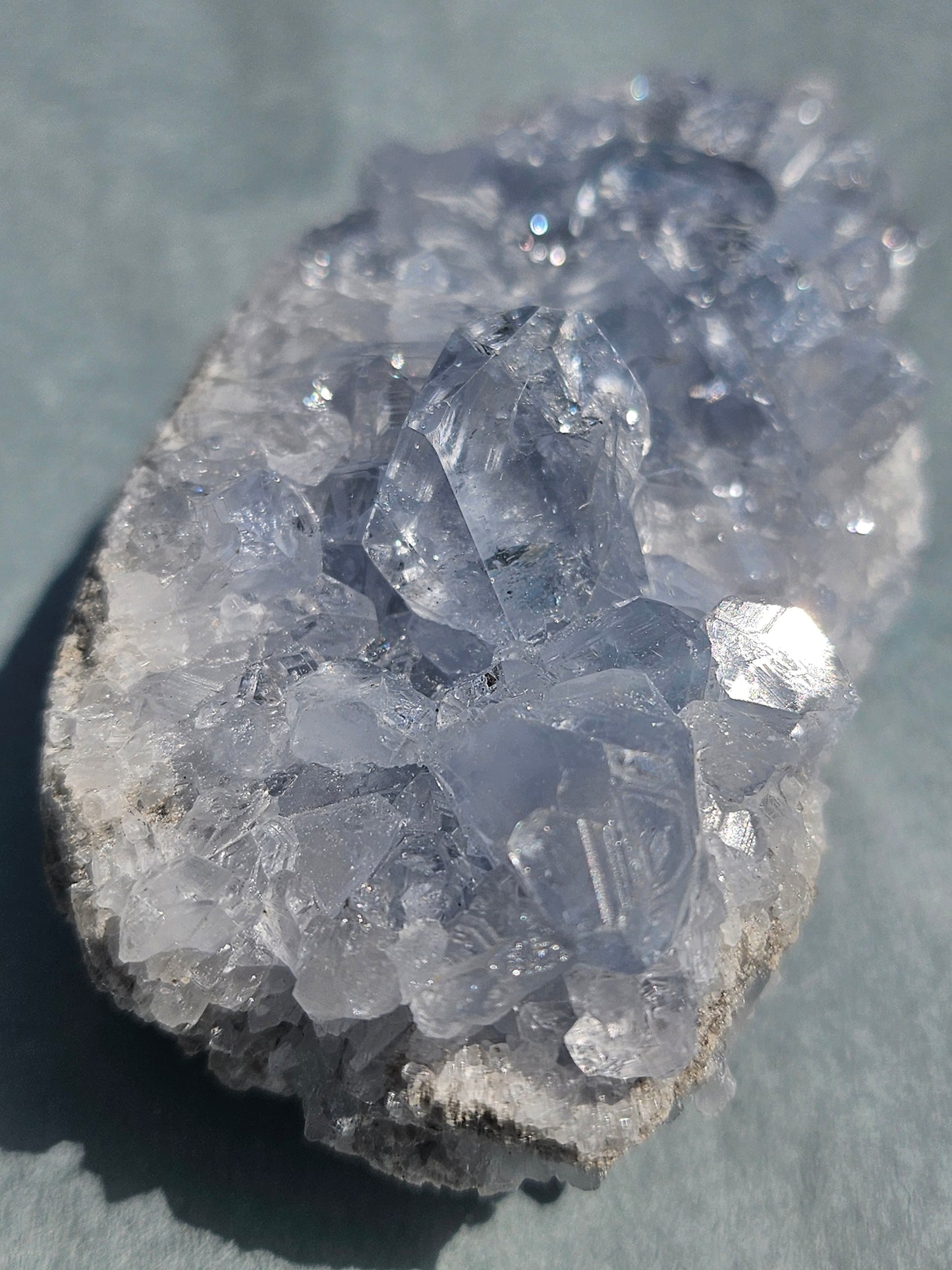 Celestine de Madagascar