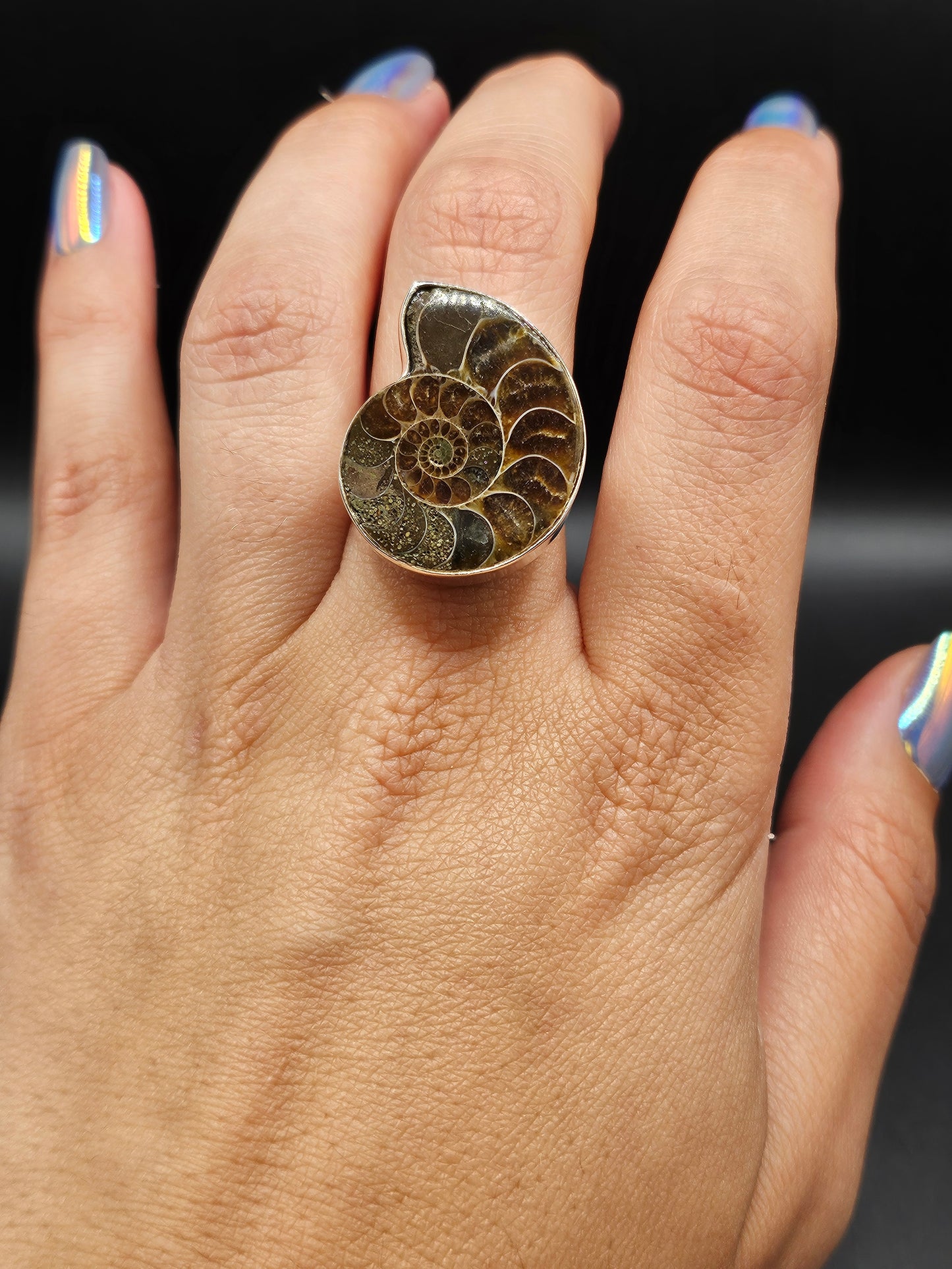 Bague Ammonite Fossile - Argent Réglable