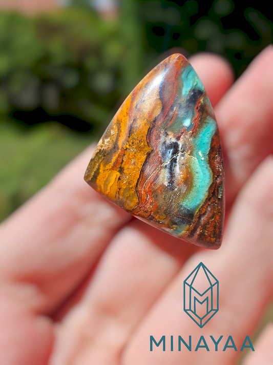 Pendentif de Bois pétrifié fossilisé et Opalisé