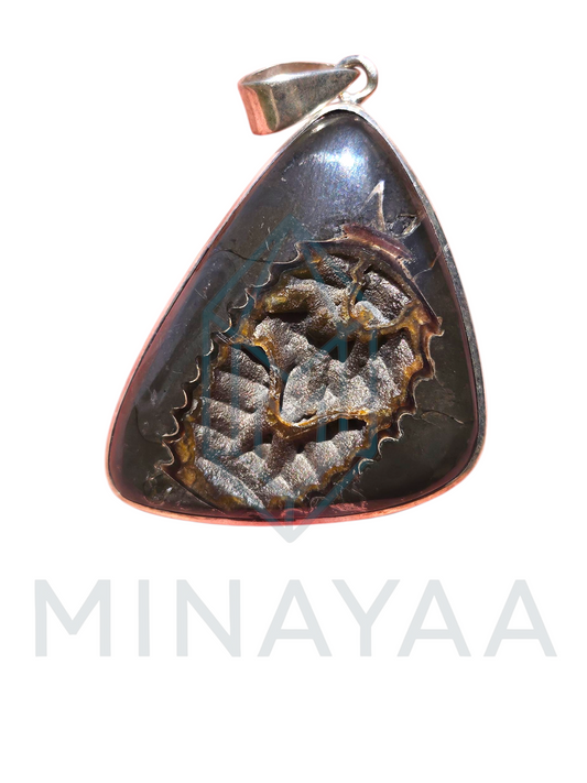 Trilobites