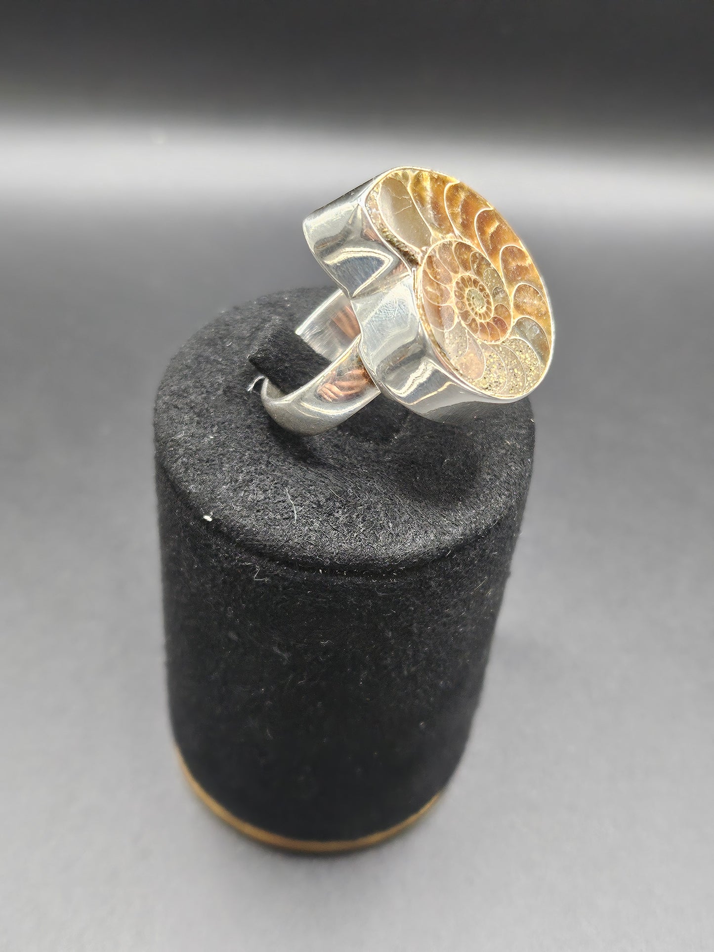 Bague Ammonite Fossile - Argent Réglable