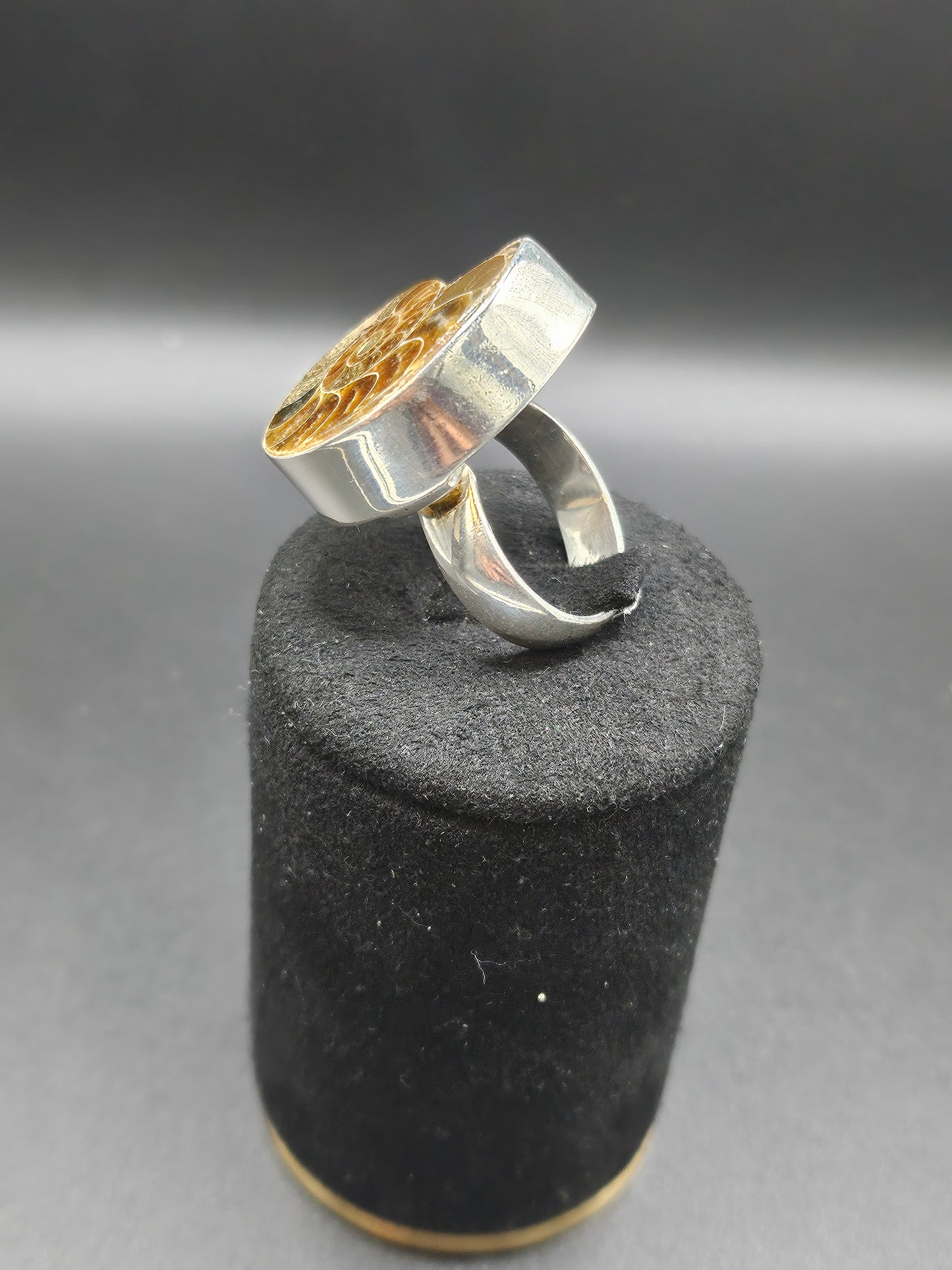 Bague Ammonite Fossile - Argent Réglable