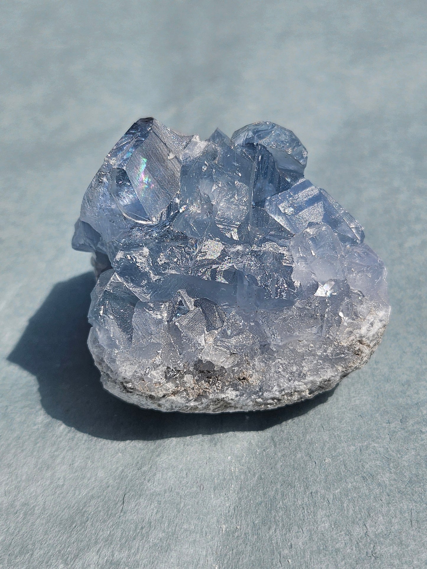 Celestine de Madagascar