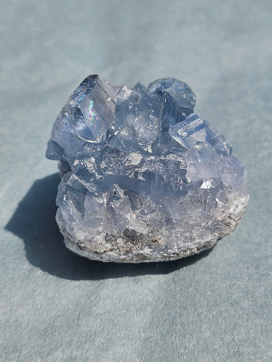 Celestine de Madagascar