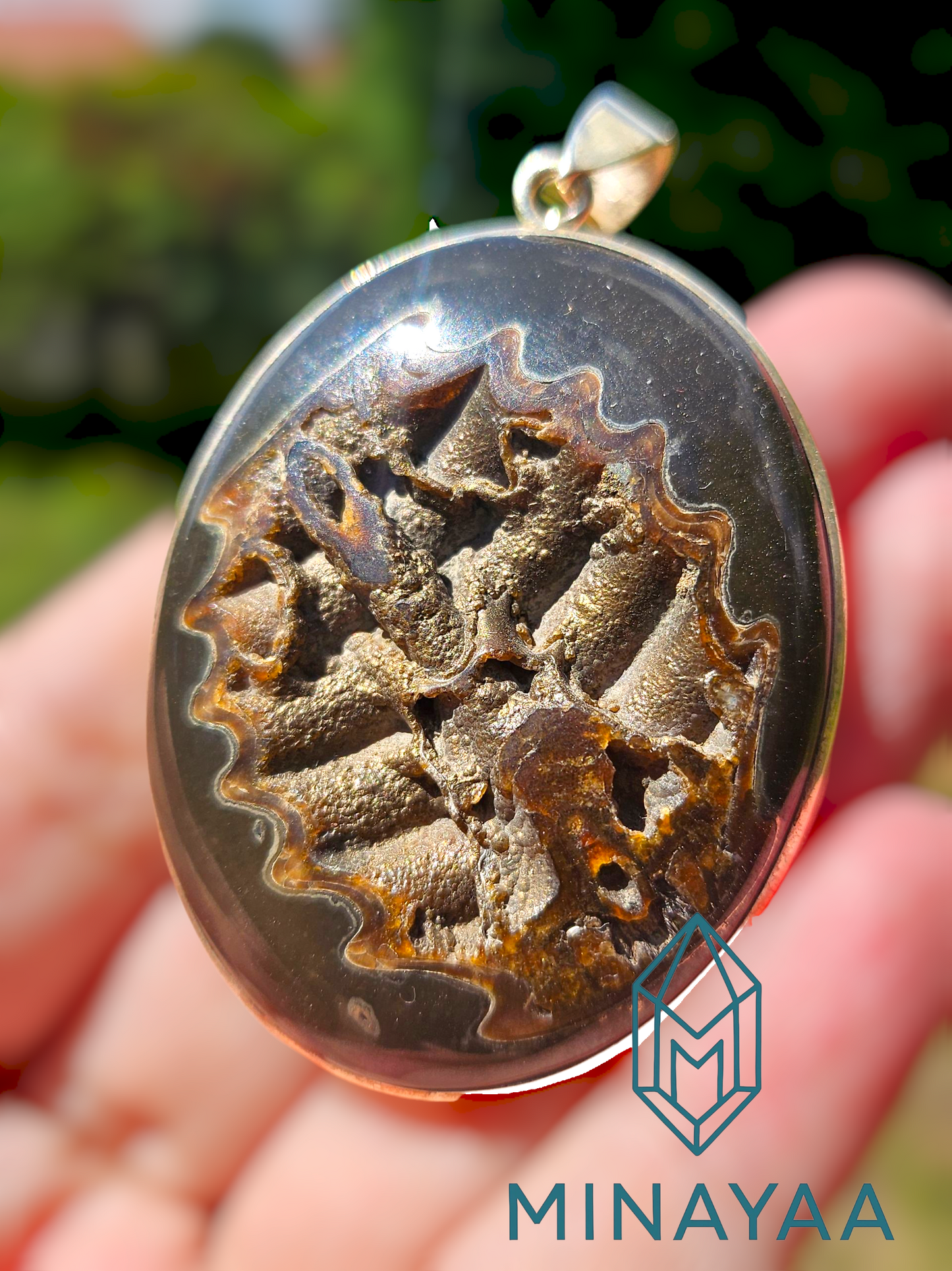 Trilobites Agatisé pyritisé | Pendentif en Argent