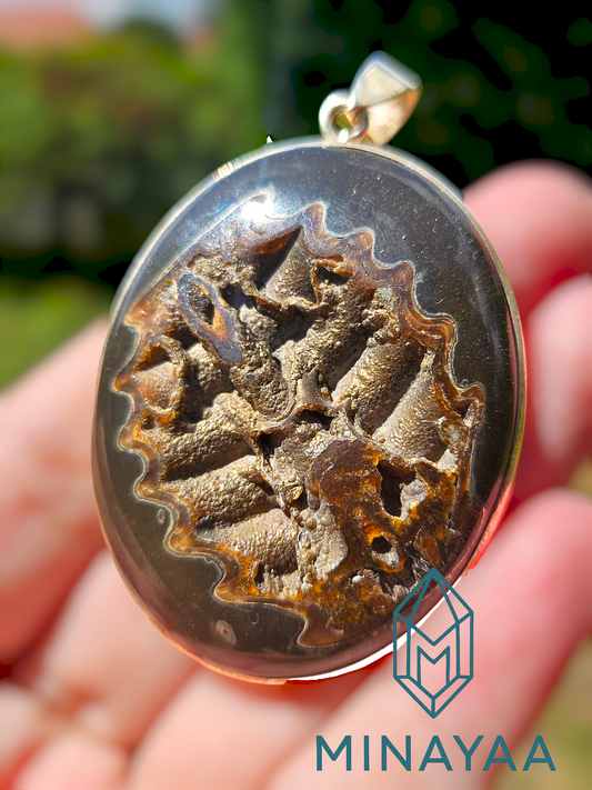 Trilobites Agatisé pyritisé | Pendentif en Argent