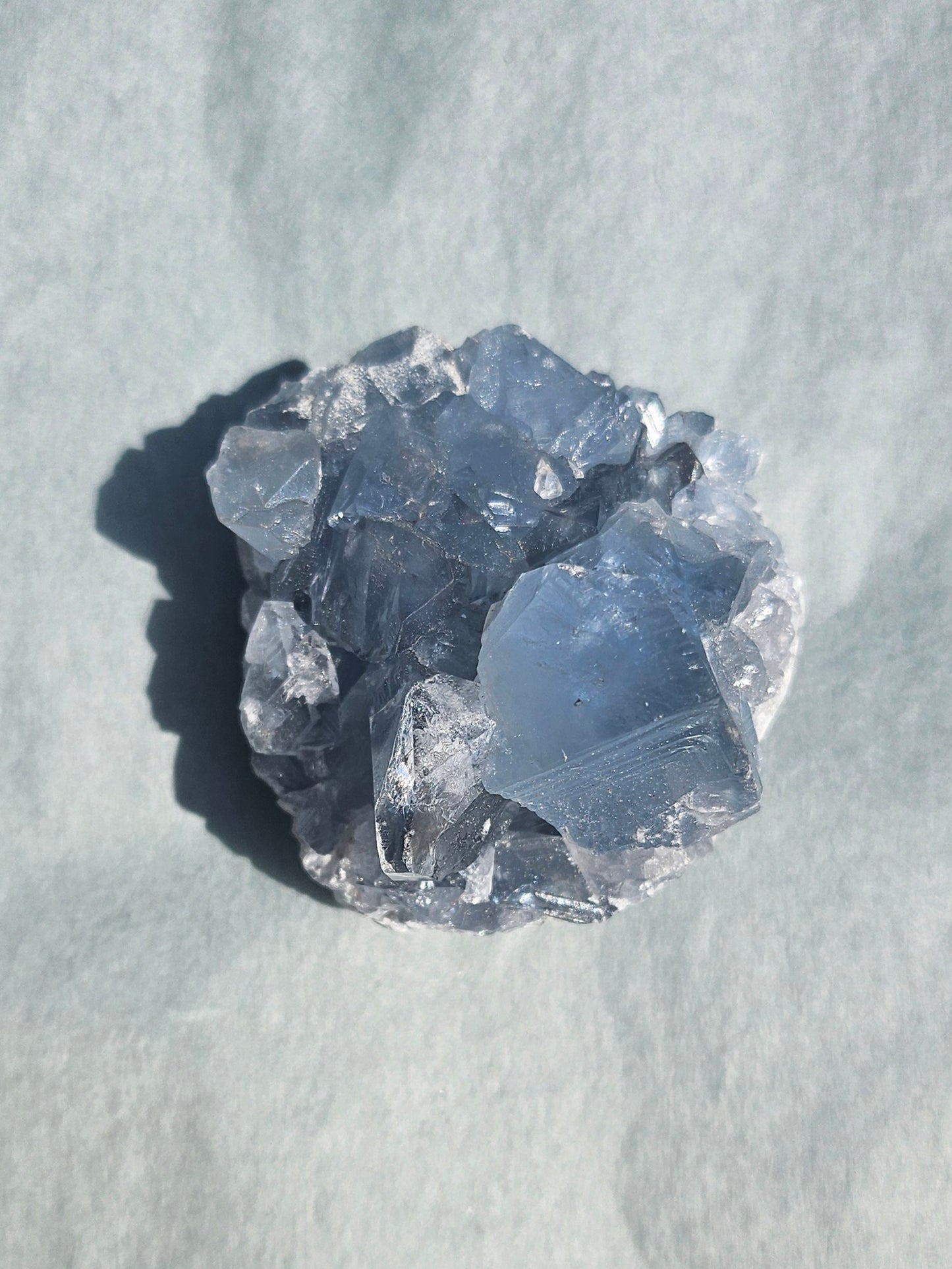 Celestine de Madagascar