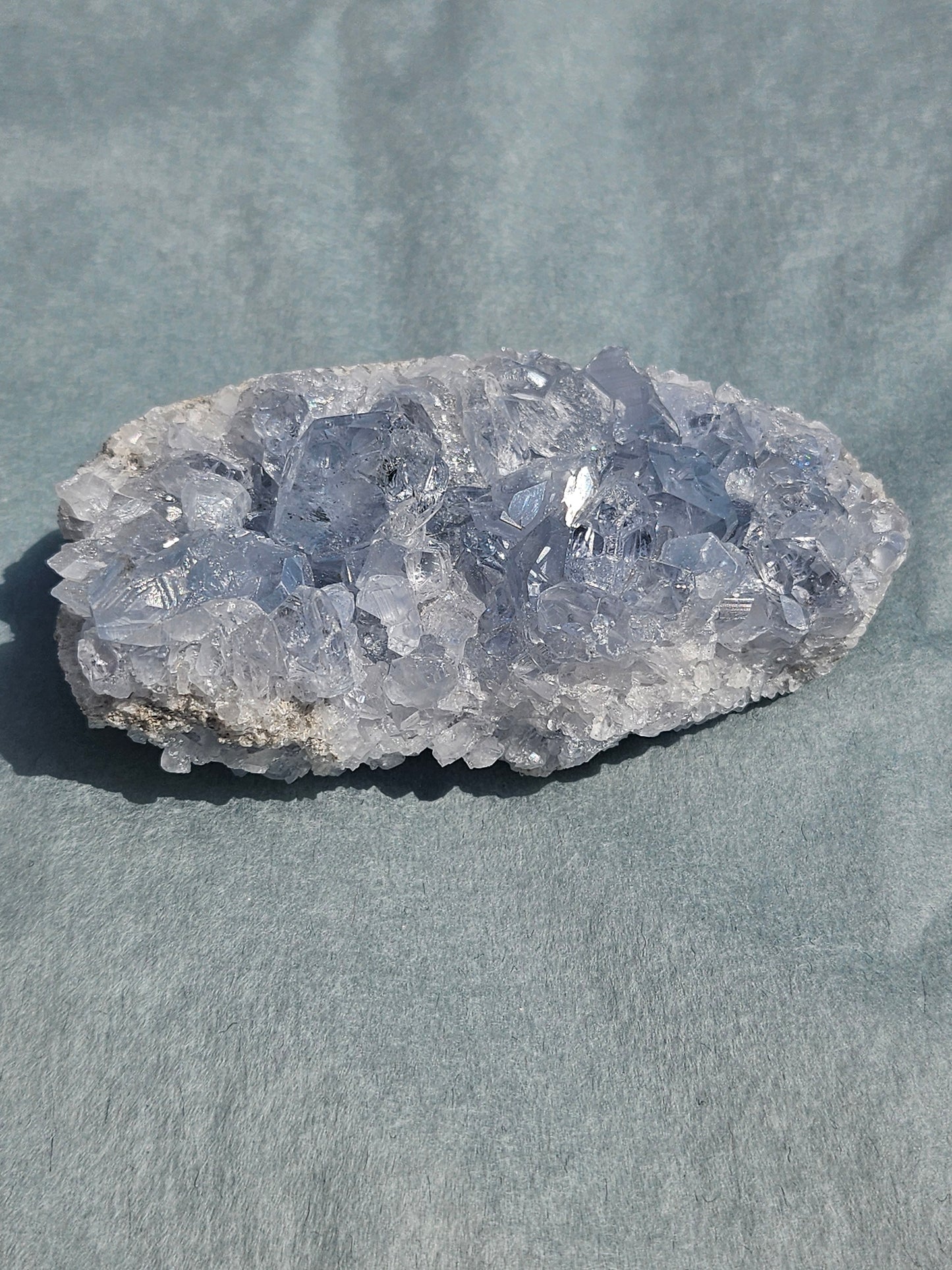 Celestine de Madagascar