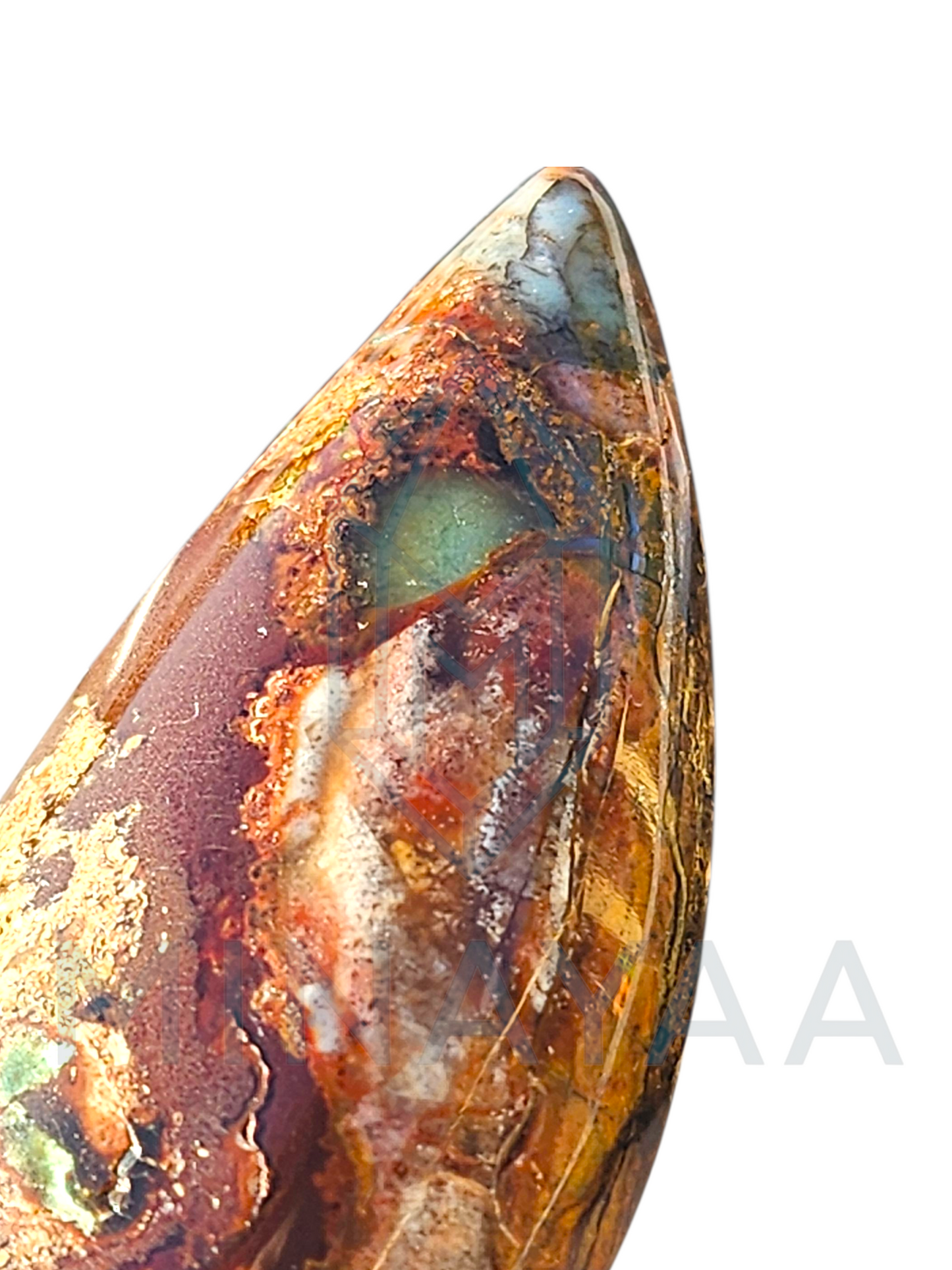 Pendentif Bois fossilisé Opalisé