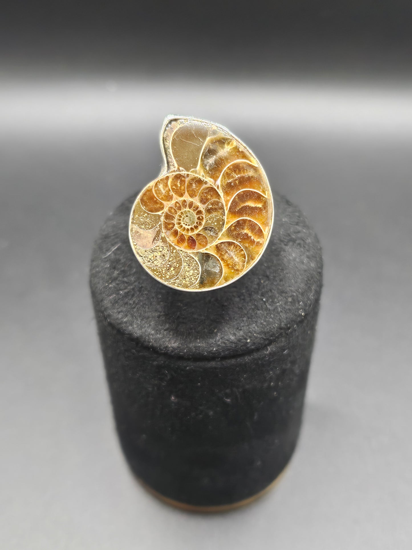 Bague Ammonite Fossile - Argent Réglable